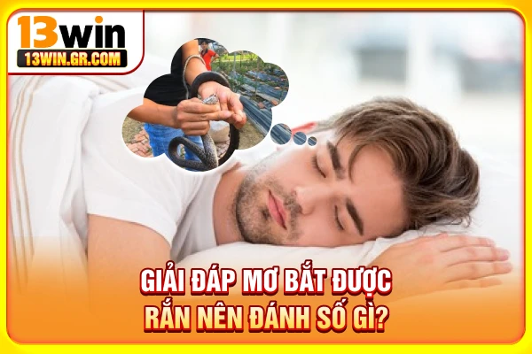 Giải đáp mơ bắt được rắn nên đánh số gì?