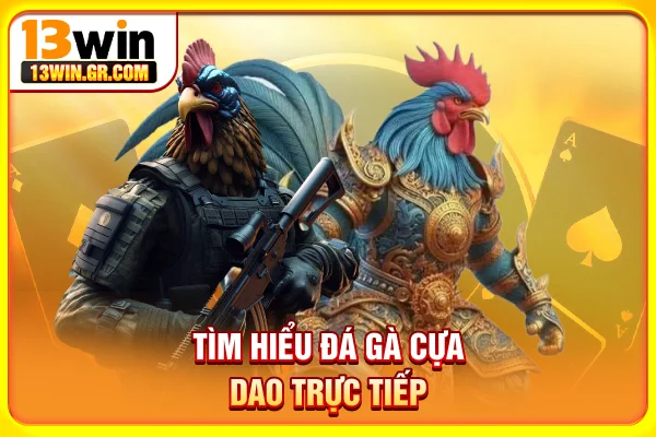 Tìm hiểu đá gà cựa dao trực tiếp