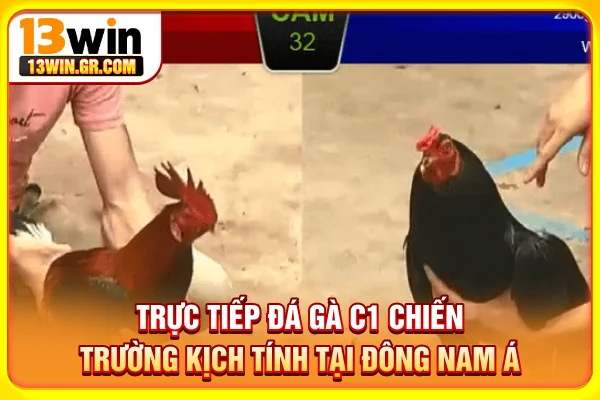 Trực tiếp đá gà C1