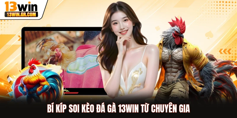 Bí kíp soi kèo đá gà 13WIN từ chuyên gia