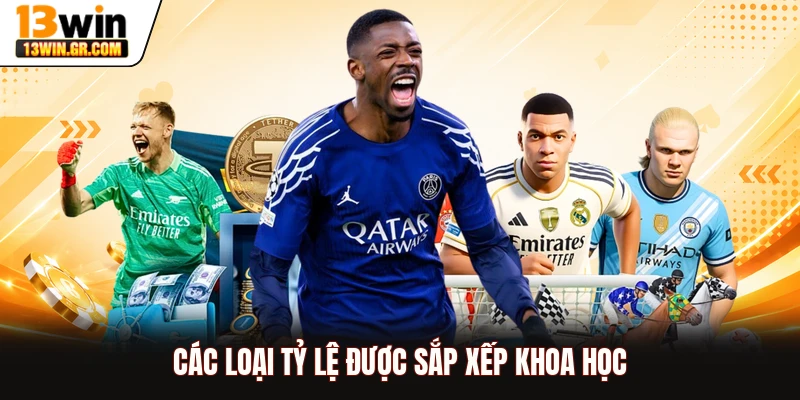 Các loại tỷ lệ được sắp xếp khoa học