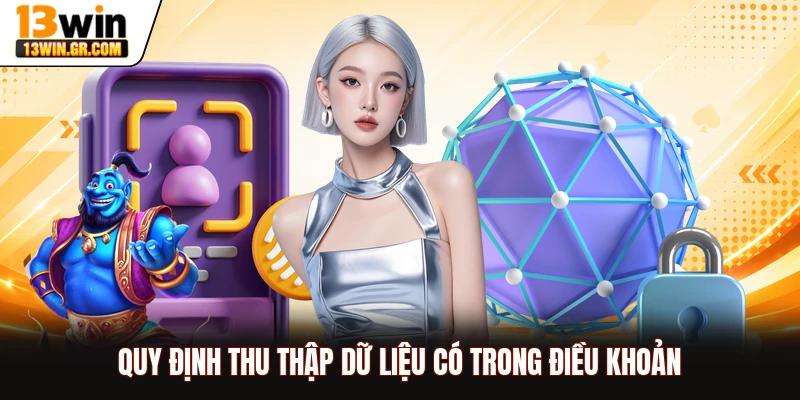 Chính Sách Bảo Mật 13WIN - Đảm Bảo Quyền Riêng Tư Thành Viên Quy định thu thập dữ liệu có trong điều khoản
